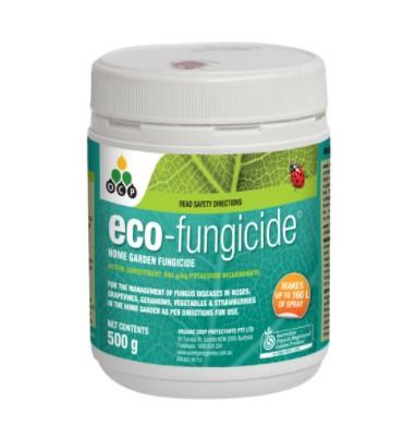 Eco Fungicide 500g