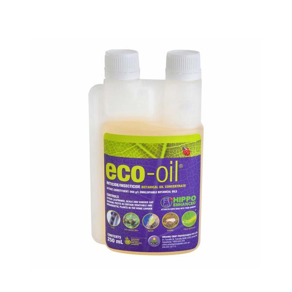 Eco Oil Concentrate 250ml