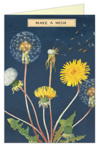 Cavallini Greeting Card - Make A Wish