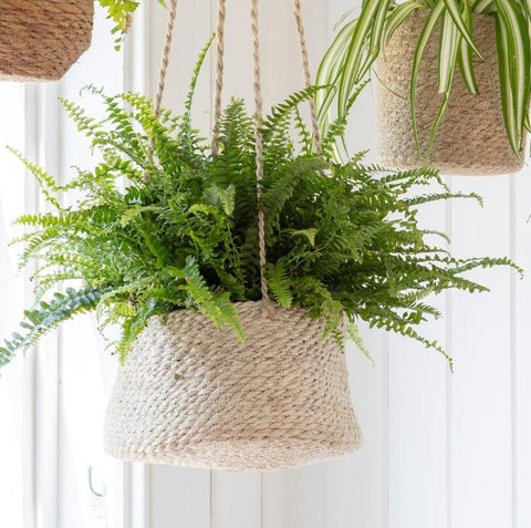 Woven Hanging Plant Pot