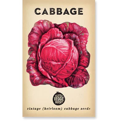 Cabbage Savoy Purple Seeds