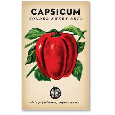 Capsicum Seeds