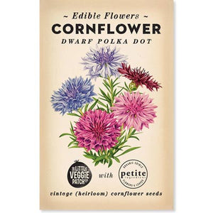 Cornflower Dwarf Polka Dot Seeds
