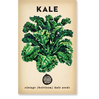 Kale Dwarf Blue Seeds