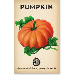 Pumpkin Small Sugar Seeds