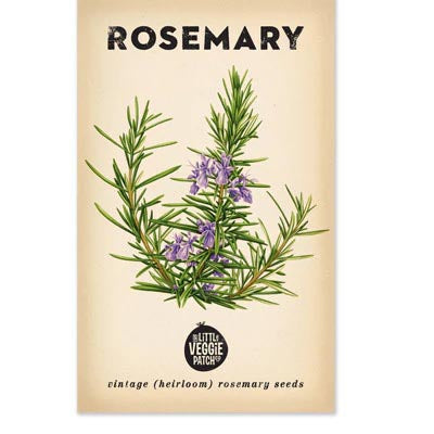 Rosemary Seeds