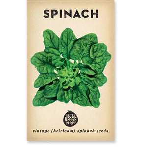 Spinach Bloomsdale Seeds