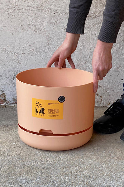 Mr Kitly Self-Watering Pot 300mm
