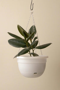 Mr Kitly Self Watering Hanging Pot 340mm