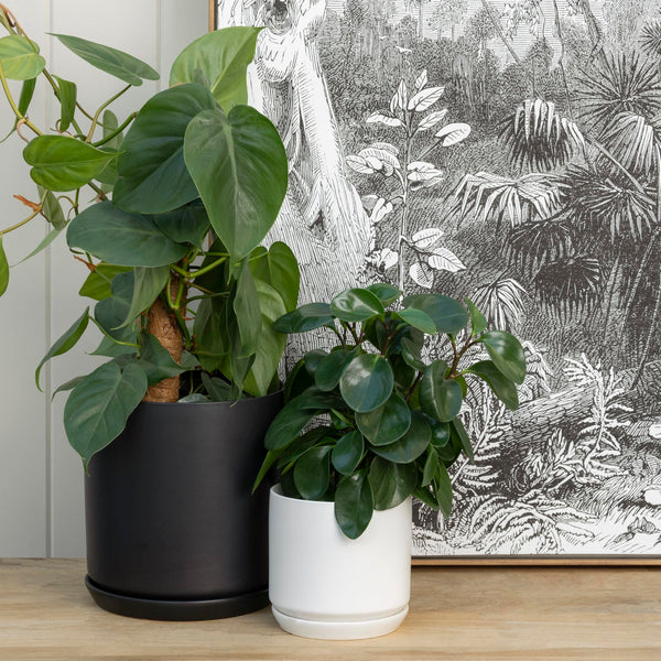 Oslo Planter Jet Black