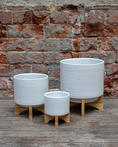 White Ribbed Pot with stand