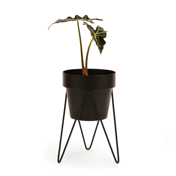 SPROUT Plant Stand Mini & Small Pot Combo