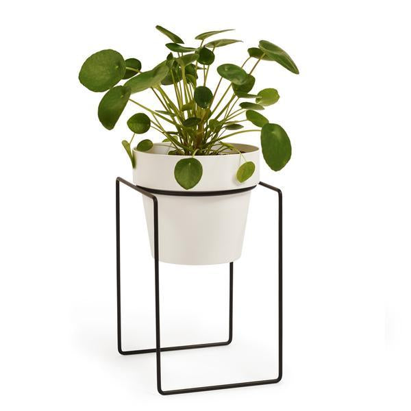 Shrub Plant Stand Mini