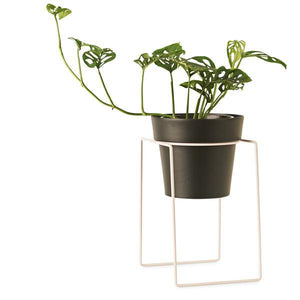 Shrub Plant Stand Mini