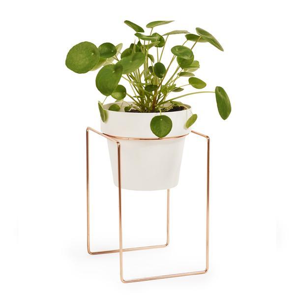 Shrub Plant Stand Mini