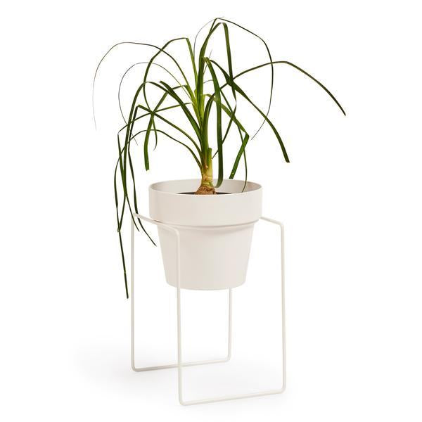 Shrub Plant Stand Mini