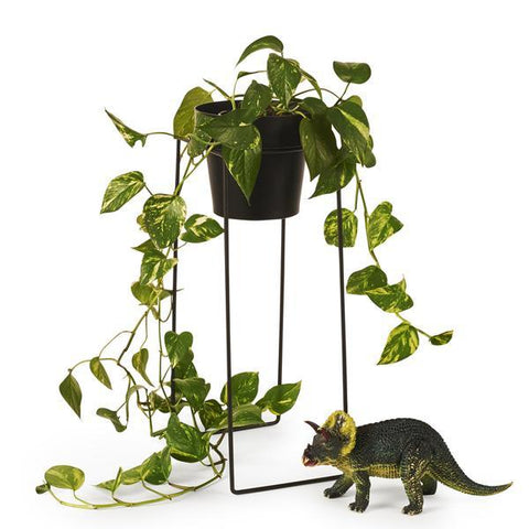 TALL Indoor Plant Stand
