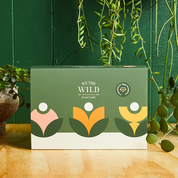 We The Wild Essential Kit