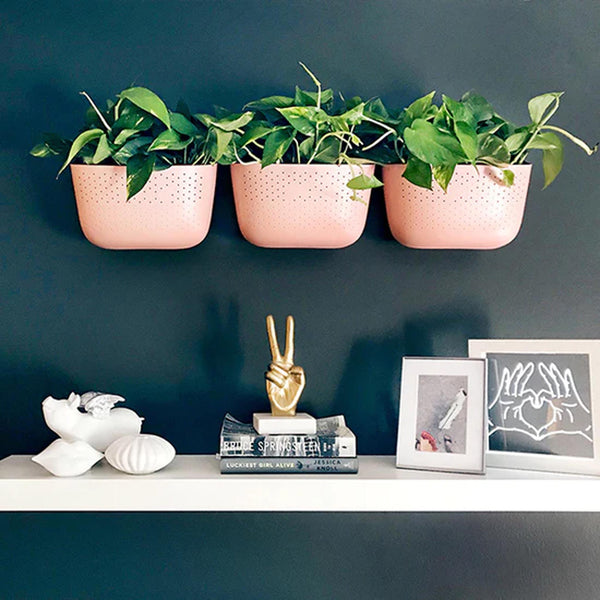 Wally Eco Wall Planter Spa