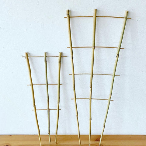 Bamboo Ladder