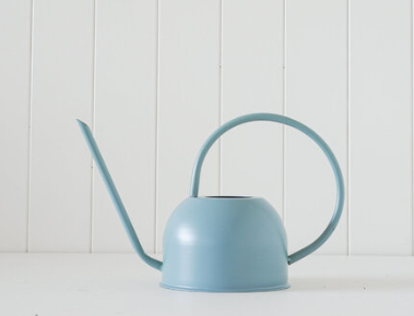 Dorothy Watering Can