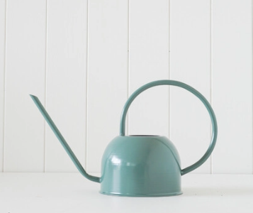 Dorothy Watering Can