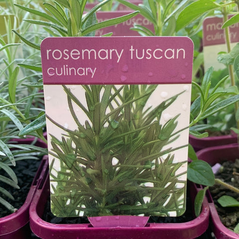 Rosemary Tuscan