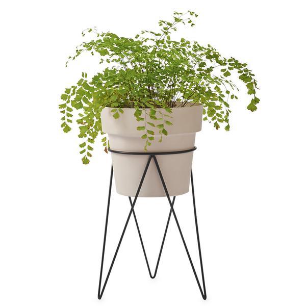 PLANT Indoor Plant Stand