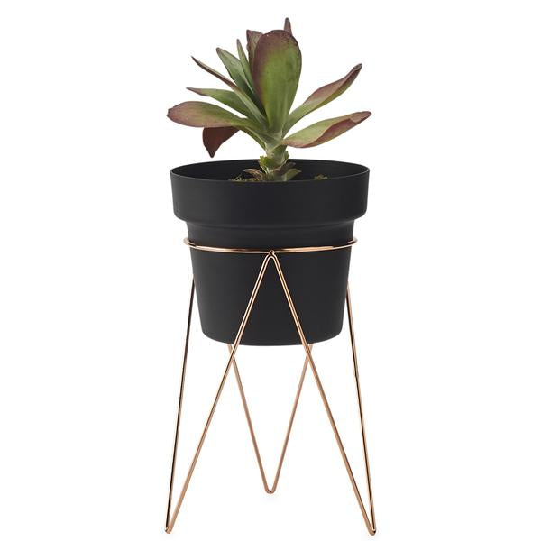 PLANT Indoor Plant Stand
