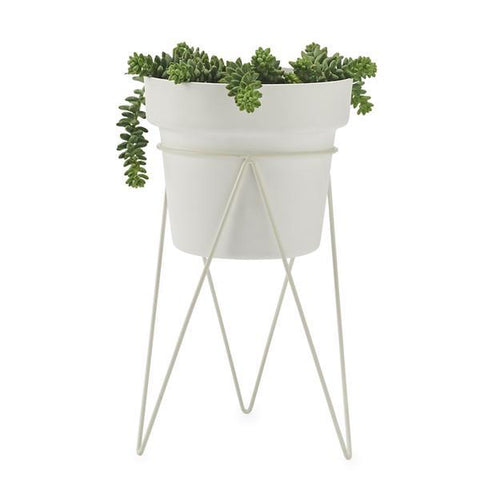PLANT Indoor Plant Stand