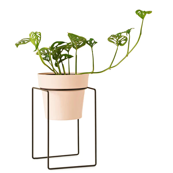 MINI Indoor Plant Pot