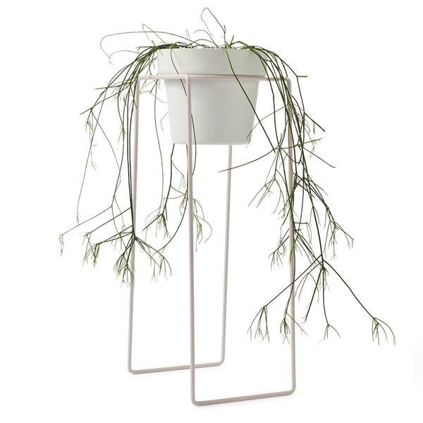 TALL Indoor Plant Stand