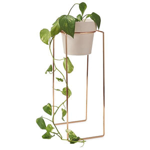 TALL Indoor Plant Stand