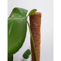 Extendable Coir Totem Support